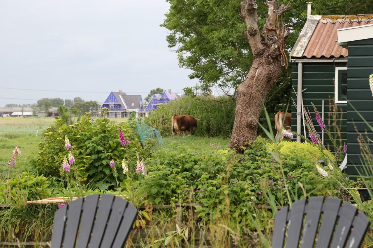 Bed And Stay Amsterdam Exterior photo
